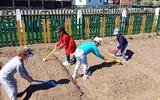 IMG_20260506_111349