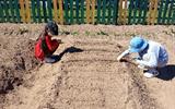IMG_20260506_113145